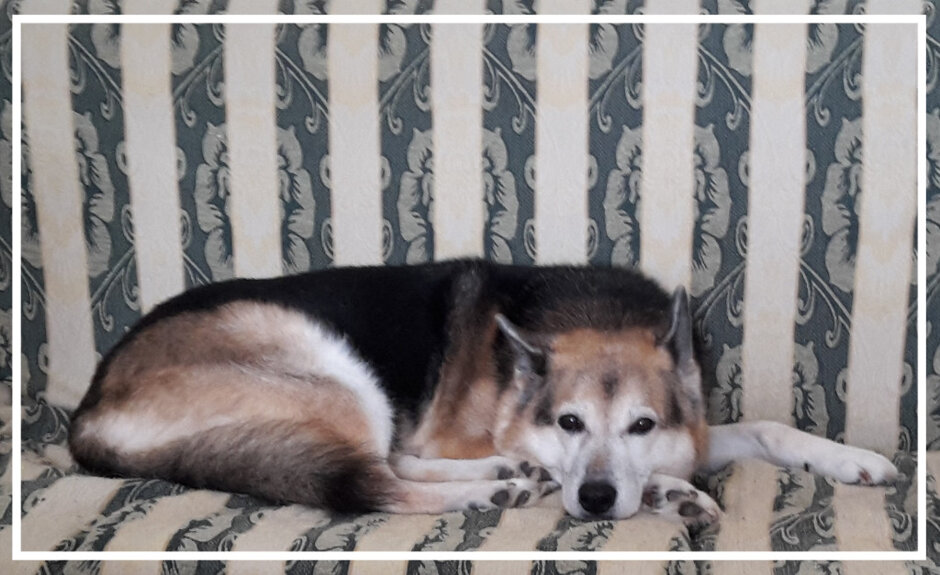 5e9eaf72-c5f8-4f73-ba25-39abd955dd40 5e9eaf72-c5f8-4f73-ba25-39abd955dd40