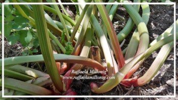 aec65be3-da2e-4d74-b153-22542ee14447