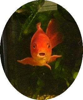 ee681203-3757-4671-a12a-deadde889eec