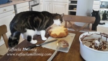 7e36f660-8fba-4cc6-9a24-b27f2aa7b188