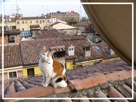 fb3ff847-b3e9-437b-9b02-ba6efcd6f9c8 fb3ff847-b3e9-437b-9b02-ba6efcd6f9c8