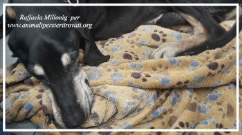 9da964f7-23fd-4a65-a6a4-ae0627e0e32c