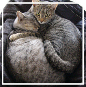 c8cd49ef-eb73-4ac3-aaa5-016c76efe5af c8cd49ef-eb73-4ac3-aaa5-016c76efe5af