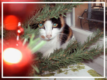 4cdef69b-4ac4-4212-8e1c-0fe05cb2188d 4cdef69b-4ac4-4212-8e1c-0fe05cb2188d