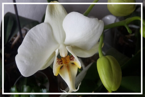 3f5b9d5c-e6d3-4ef3-a041-c6a2eaeacb67