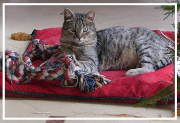 2722768e-ef4a-4271-9317-132abcc94ec0 2722768e-ef4a-4271-9317-132abcc94ec0