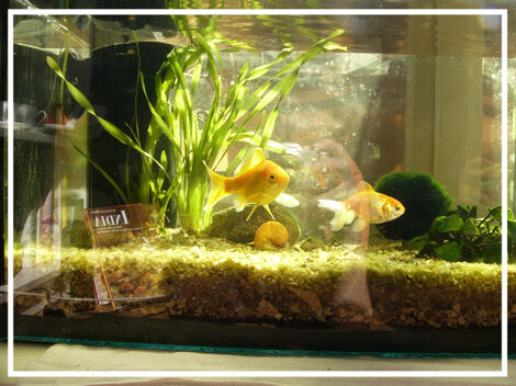 e1b13b33-e006-40a5-aef2-95bdf0c418fc e1b13b33-e006-40a5-aef2-95bdf0c418fc