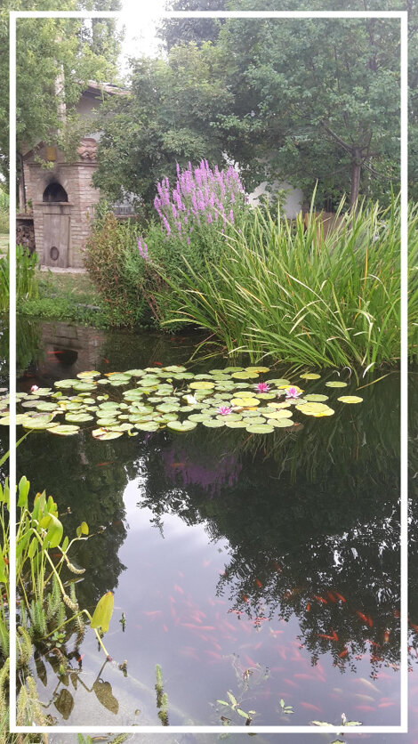 4388b9cc-6606-4861-b7e7-f88ad3a61281