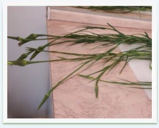 dfde0742-47e7-4318-86d4-1d3b4957f3da