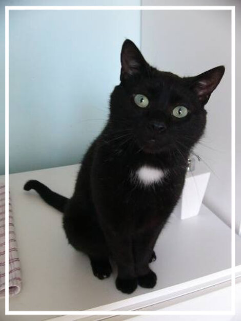 68d5c75f-19c3-4631-b0ee-135da4650120 68d5c75f-19c3-4631-b0ee-135da4650120