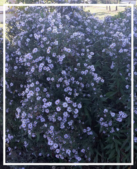 e0095cd5-8715-4b50-a7aa-f11bb9018609 e0095cd5-8715-4b50-a7aa-f11bb9018609