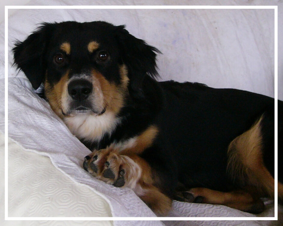 2d2bd841-f1df-4981-9422-79b998d35529 2d2bd841-f1df-4981-9422-79b998d35529