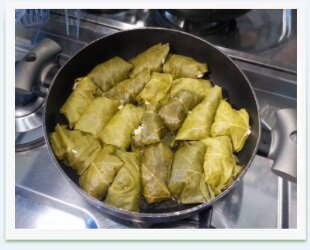 5ff15277-1692-432c-85d5-9199f714a745