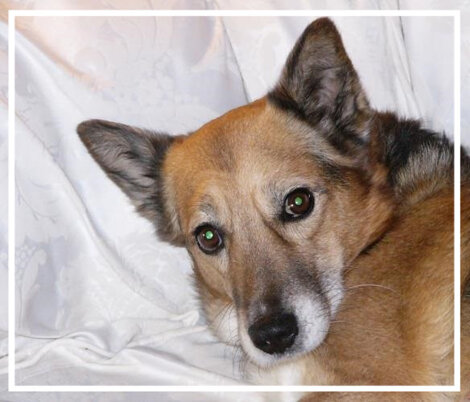 7b9904f4-8cdf-42f0-a29a-f787d66a31c1 7b9904f4-8cdf-42f0-a29a-f787d66a31c1