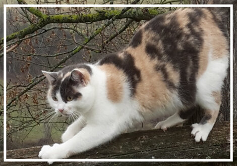 196cfdd0-dbde-4a19-8665-419d9a7a11d2 196cfdd0-dbde-4a19-8665-419d9a7a11d2