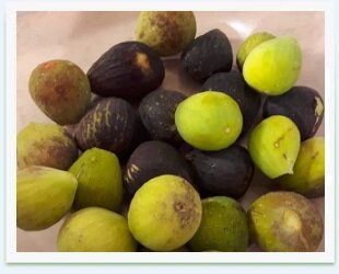 5d76d7a3-e2e5-439a-b6fb-aa15f9ce84a4