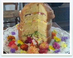 7e140888-ca2a-4910-9ec0-ab89653f4f02