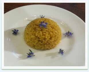 5d366f09-cb1c-4ea1-b471-765ac11cbd47