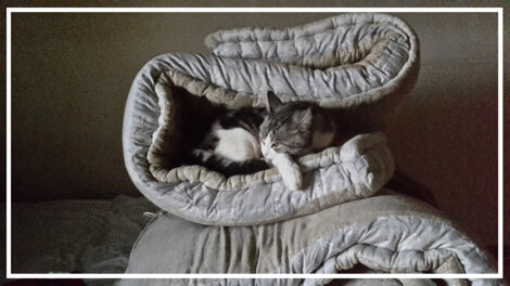 a71cc99c-682e-49fe-a6e8-46426851fc36