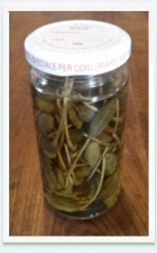 8339aa39-651c-414d-b885-ceedac2f3009