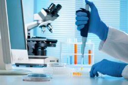 1f5fac60-bc81-406f-a738-6e346328ebe0