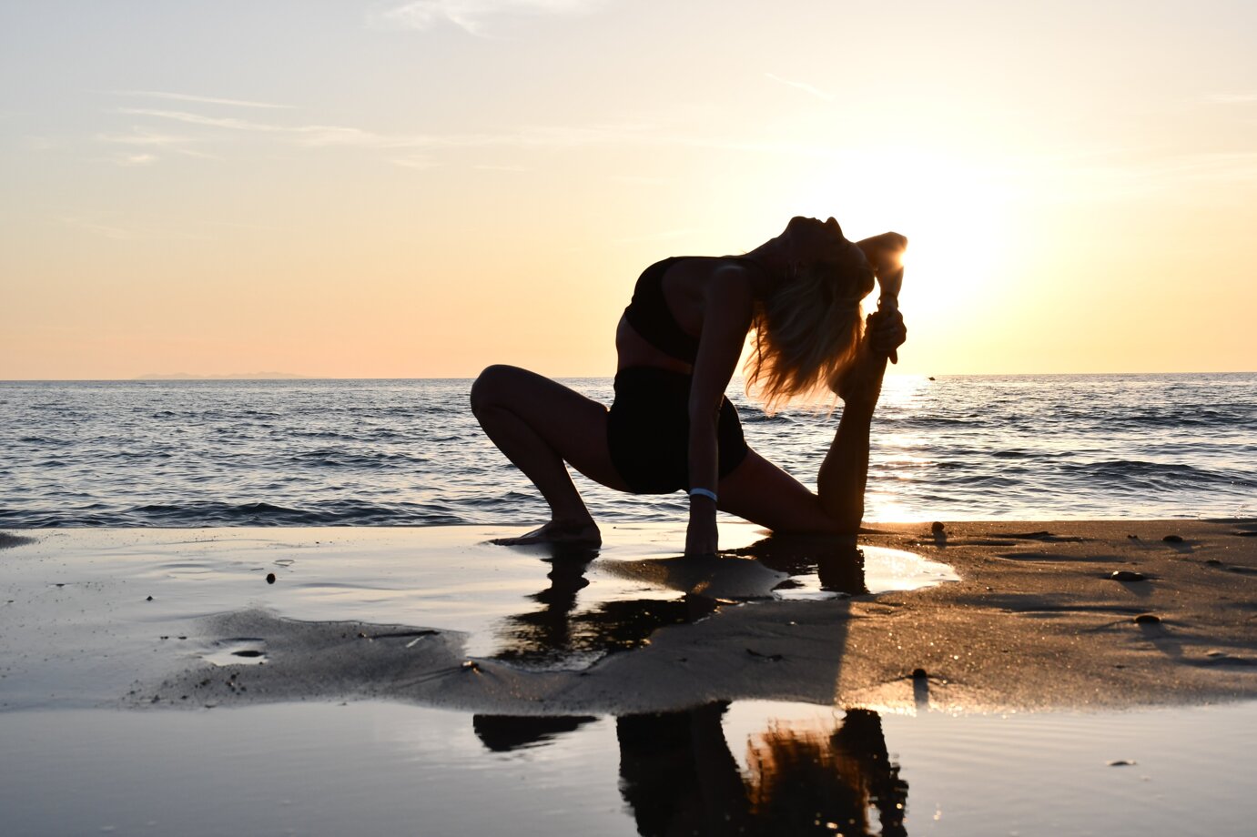 img_1684.jpeg img_1684.jpeg