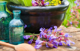 4601b303-869b-4871-8482-f8d87fb1457e 4601b303-869b-4871-8482-f8d87fb1457e