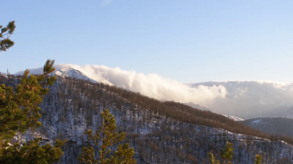 62f2def1-fff5-4d11-943d-5a66d6c85fab 62f2def1-fff5-4d11-943d-5a66d6c85fab