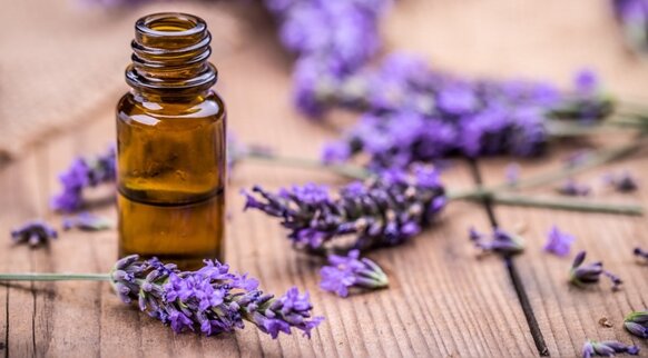 97f0b537-1797-4064-b638-eeffb9642a66