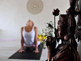 51d45447-f108-416c-9c53-f38fa26c5408 51d45447-f108-416c-9c53-f38fa26c5408