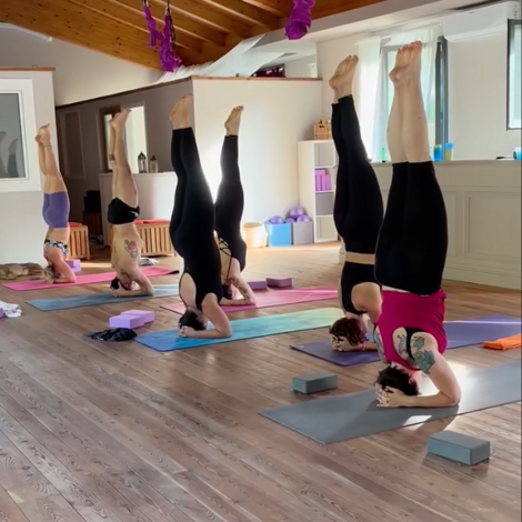 screenshot%202026-02-12%20alle%2016.07.02