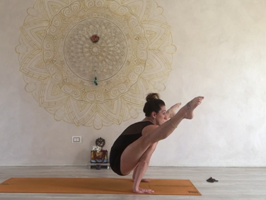 d30cace2-8b1a-44eb-ac90-b678bec4d798