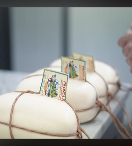 screenshot%202026-02-04%20alle%2017.49.29 screenshot%202026-02-04%20alle%2017.49.29