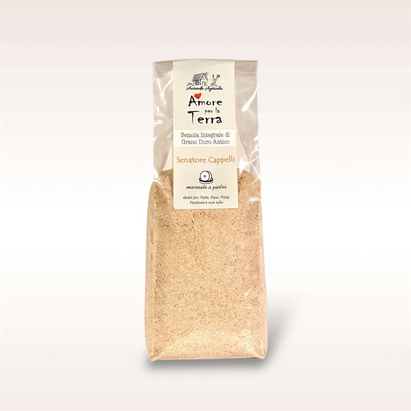 semola-di-senatore-cappelli