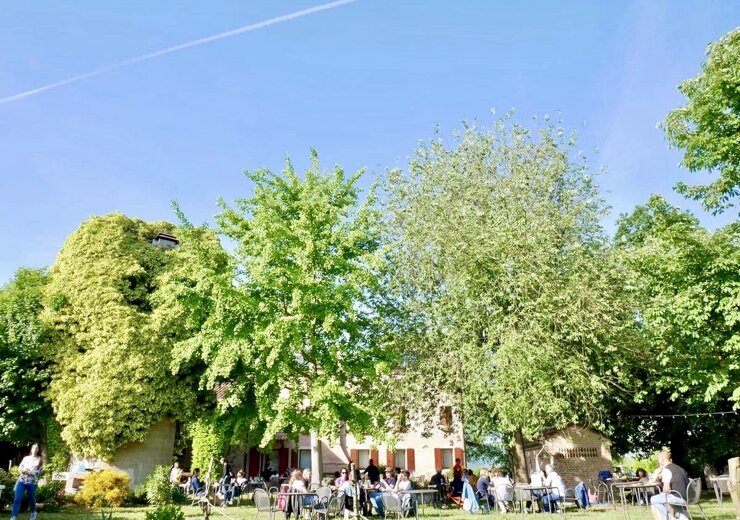 parco verde fresco d'estate parco verde fresco d'estate