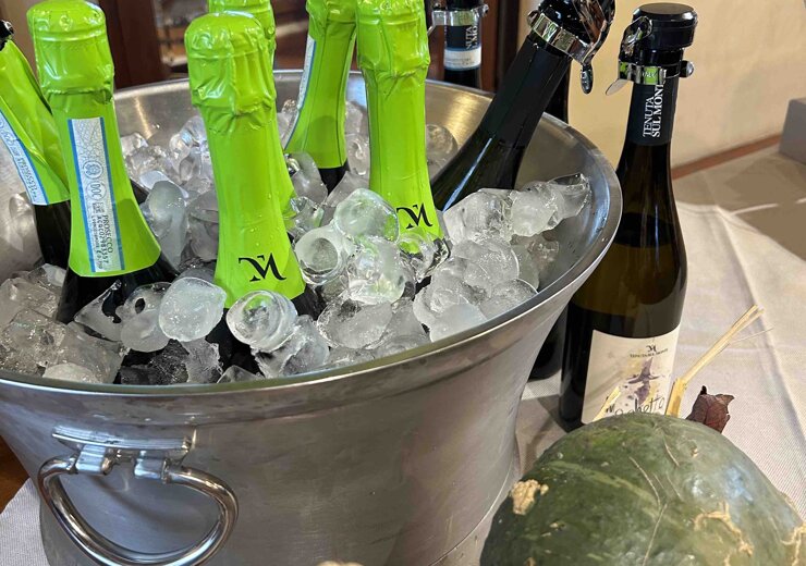 vini dei colli euganei, birra artigianale e aperivi floreali 