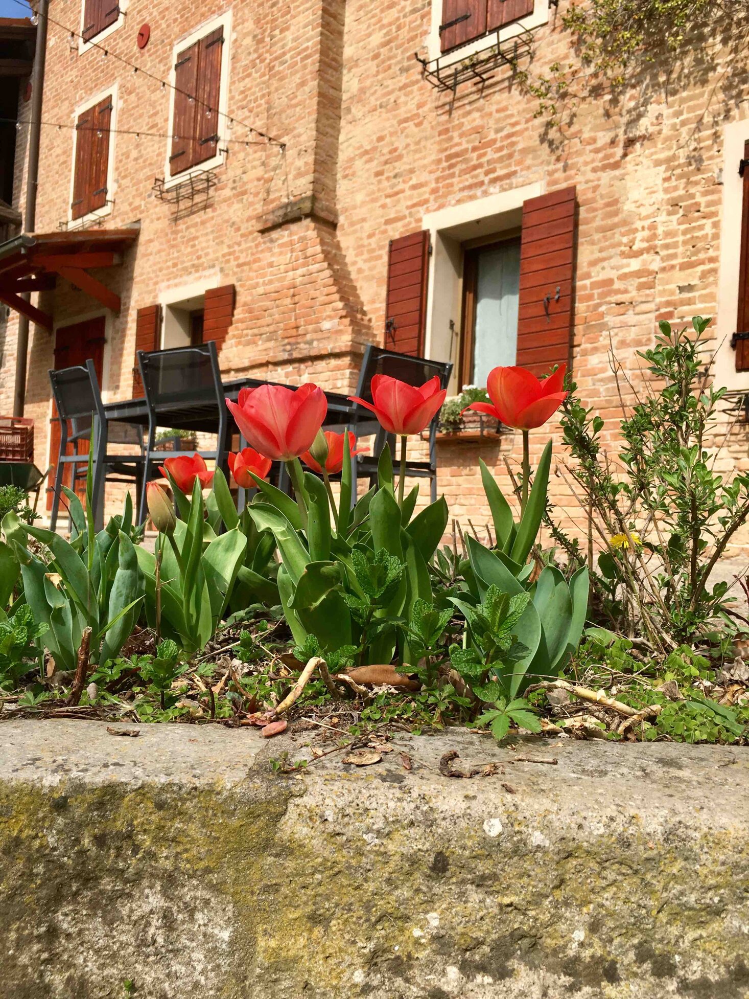 location esclusiva unica