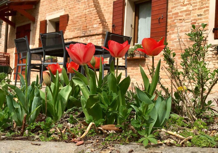 cascina o tenuta storica cascina o tenuta storica