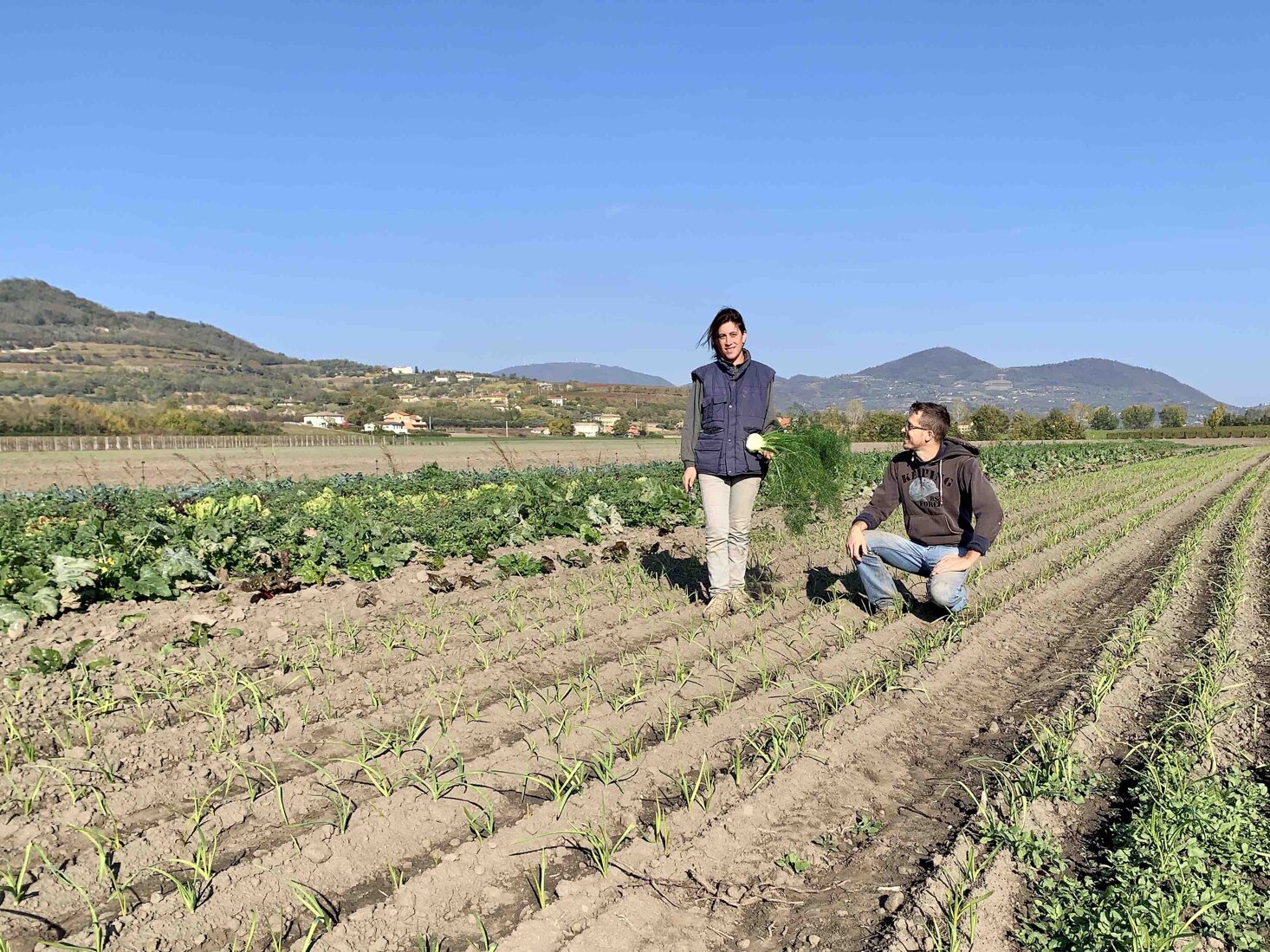 Agricoltura naturale colli euganei