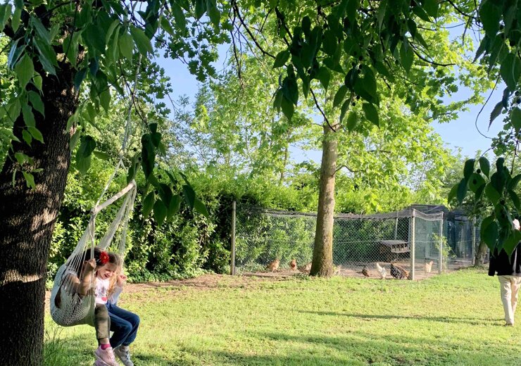 parco verde con animali azienda agricola parco verde con animali azienda agricola