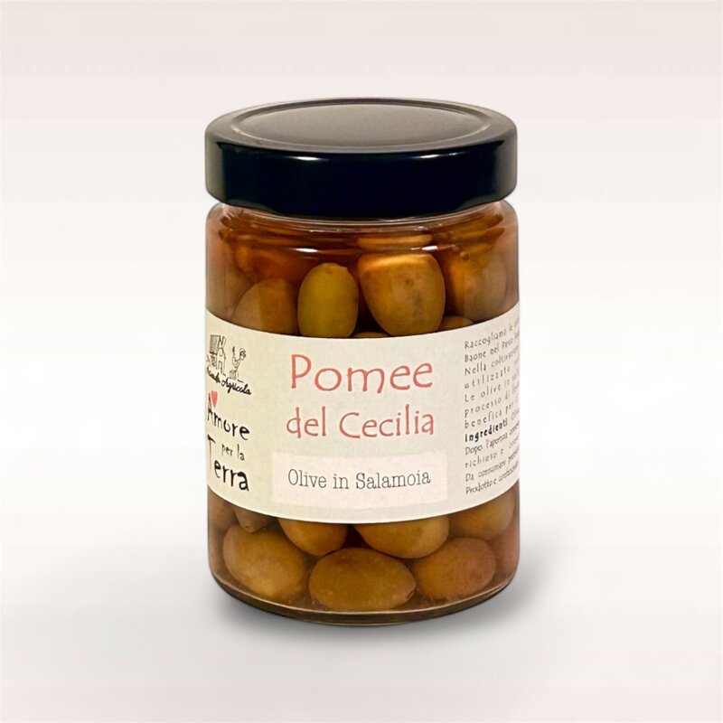 olive in salamoia