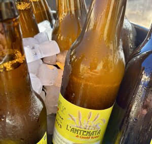 birra artigianale di grano antico 