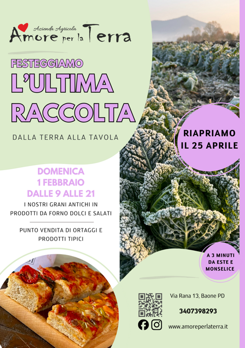 poster marrone arancione funghi attività escursione parco semplice naturale locandina manifesto poster marrone arancione funghi attività escursione parco semplice naturale locandina manifesto