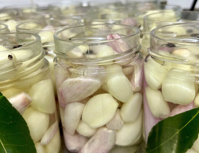 scalogno in agrodolce, prodotti preparati in azienda agricola