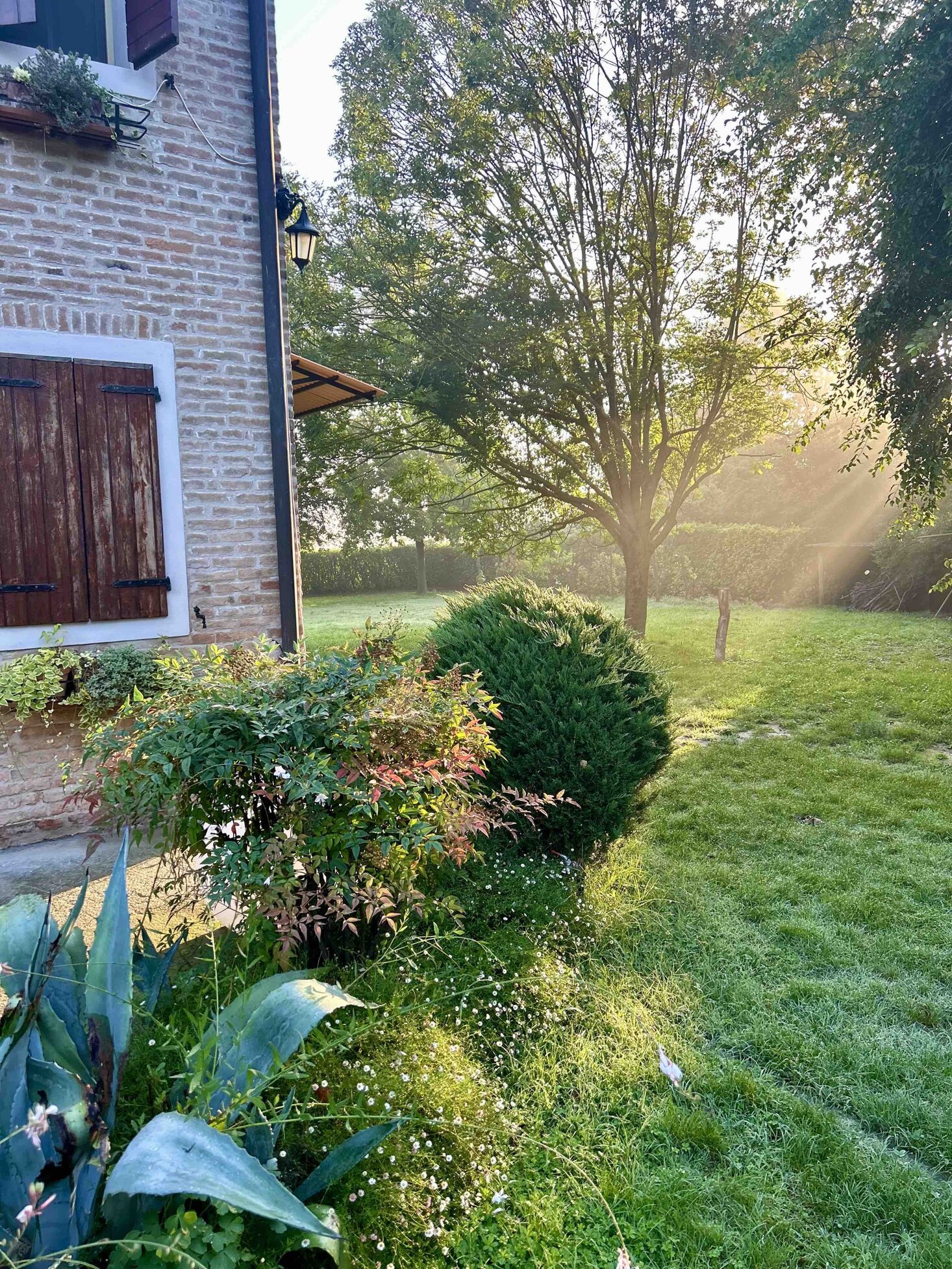 ambiante naturale e accogliente