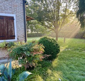 location immersa nel verde