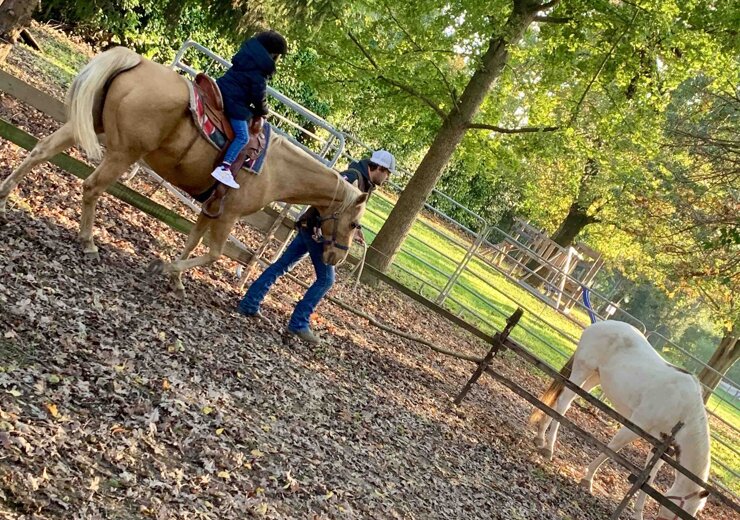 cavalli in cascina cavalli in cascina