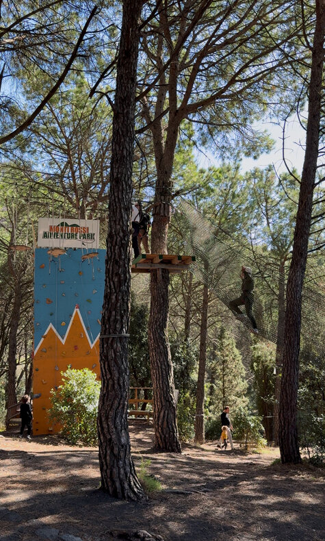 visualizza foto recenti.jpeg