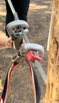 immagine whatsapp 2025-10-31 ore 17.48.00_2574db21.jpeg