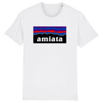 amiata